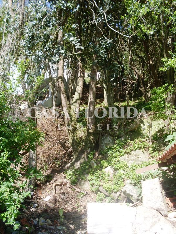 Terreno Residencial Pântano do sul Florianópolis 