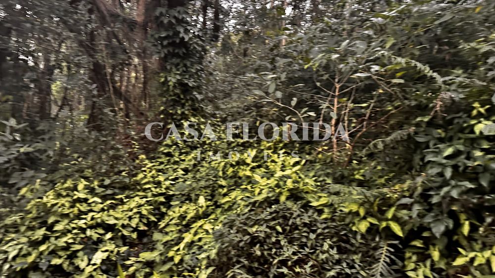 Terreno Residencial Pântano do Sul Florianópolis 