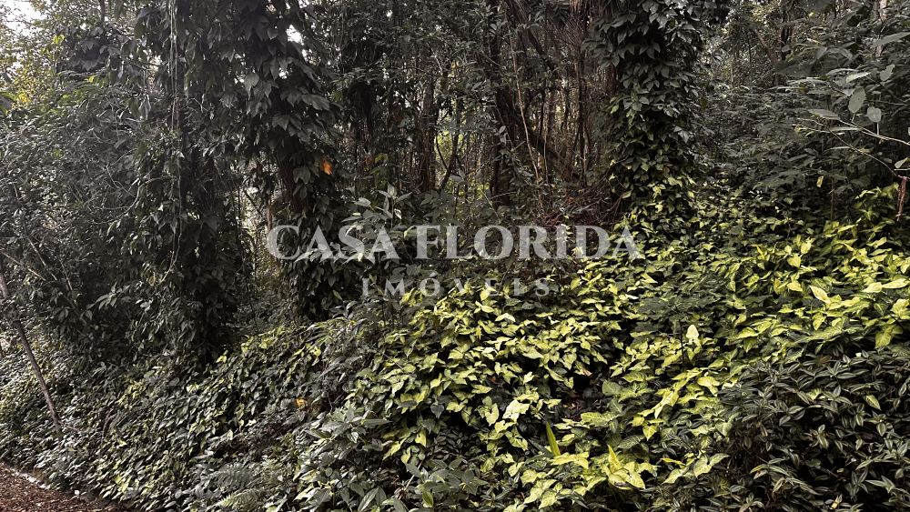 Terreno Residencial Pântano do Sul Florianópolis 