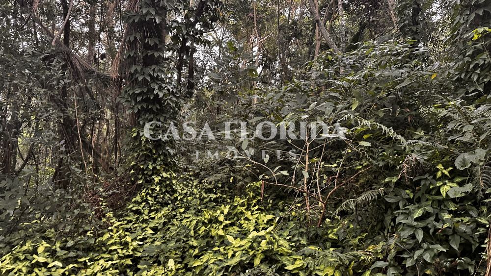 Terreno Residencial Pântano do Sul Florianópolis 