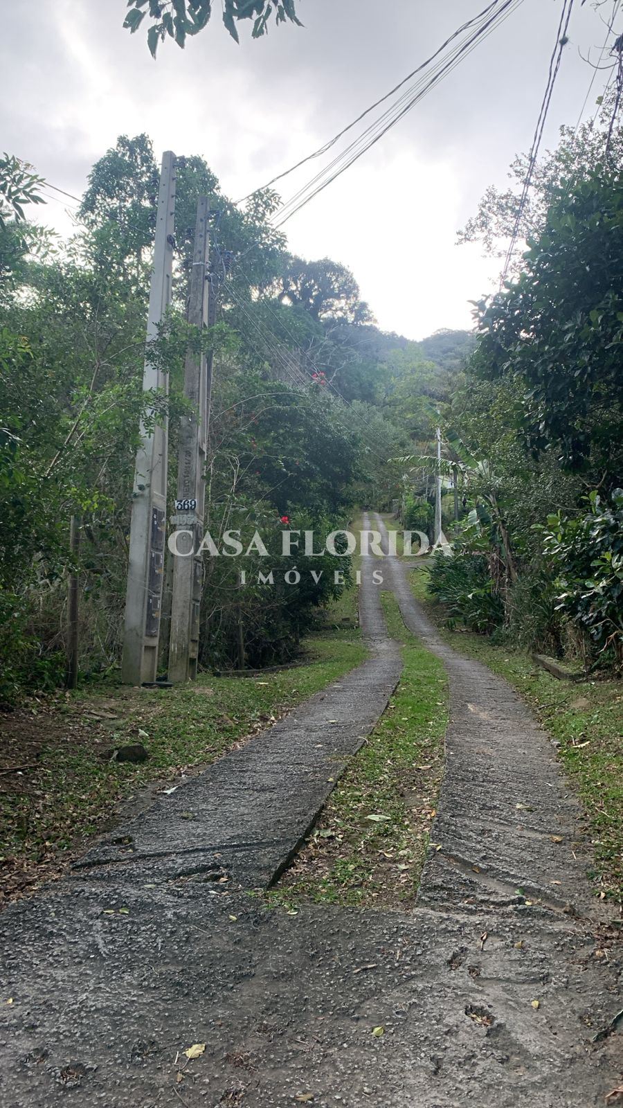 Terreno Residencial Pântano do Sul Florianópolis 