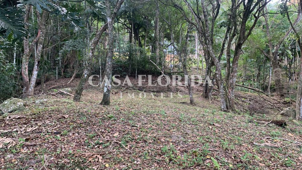 Terreno Residencial Pântano do Sul Florianópolis 