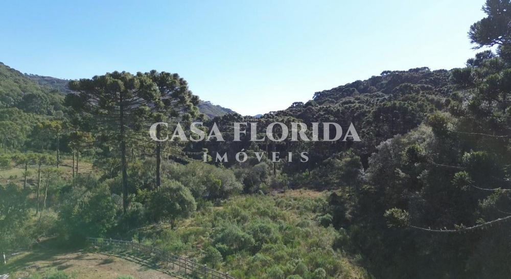 Chácara, Sítio e Fazenda Vacas Gordas Urubici 