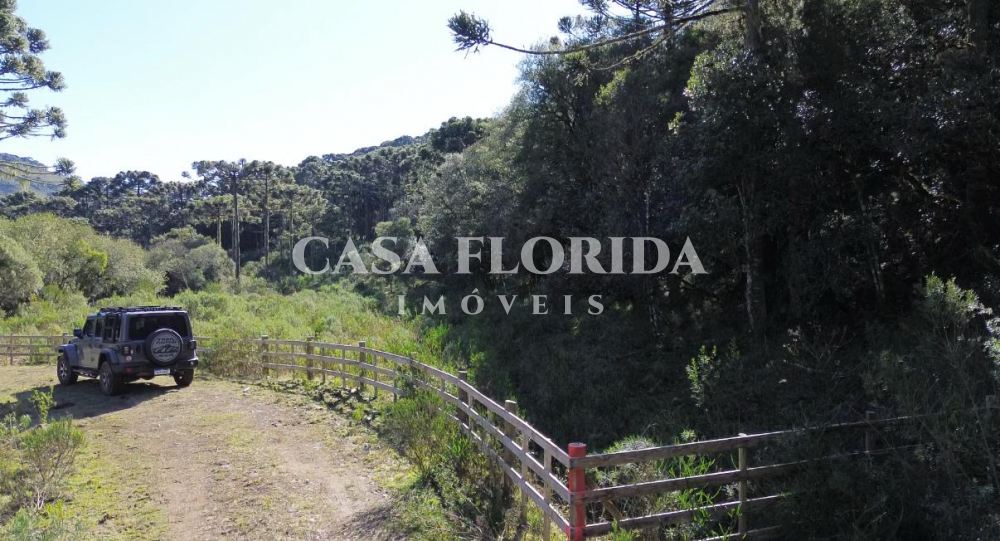 Chácara, Sítio e Fazenda Vacas Gordas Urubici 