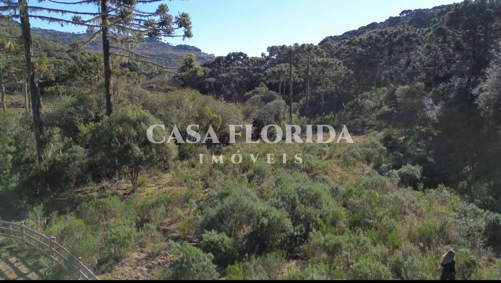 Chácara, Sítio e Fazenda Vacas Gordas Urubici 